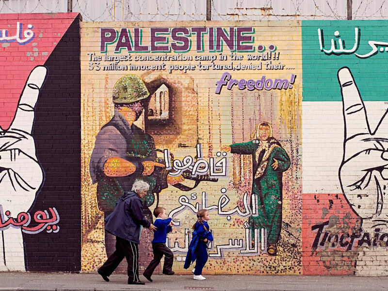 Pro-Palestine Irish 