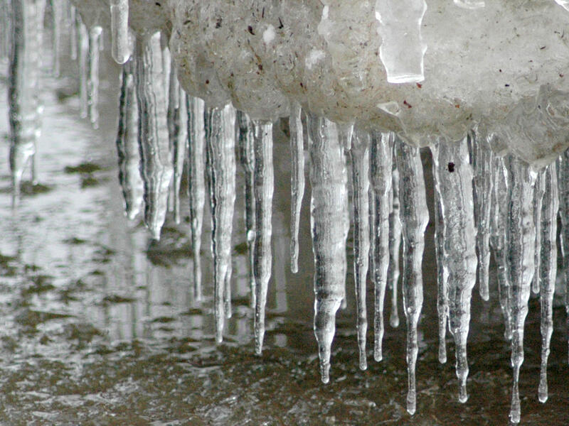 icicles