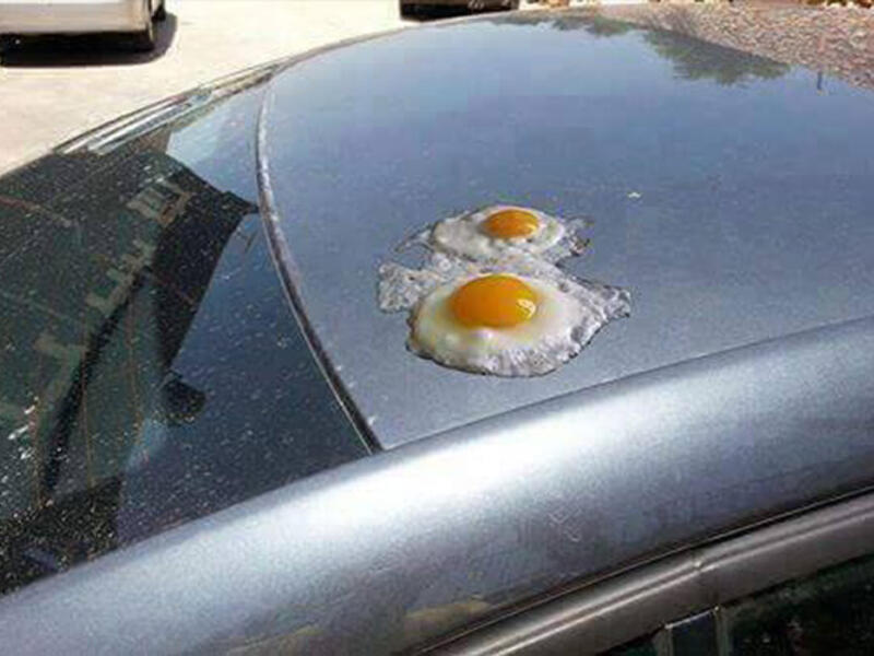 How to handle Dubai's egg-friable air? Crank up Eminem’s “Survivor” and channel Slim Shady!  Drop sunshades and close curtains during the daytime to shade your rooms and stop sunlight from heating up indoor spaces. Added bonus? Increased privacy when you lounge around listlessly in skimpy clothes or if in holy land, fig leaves!