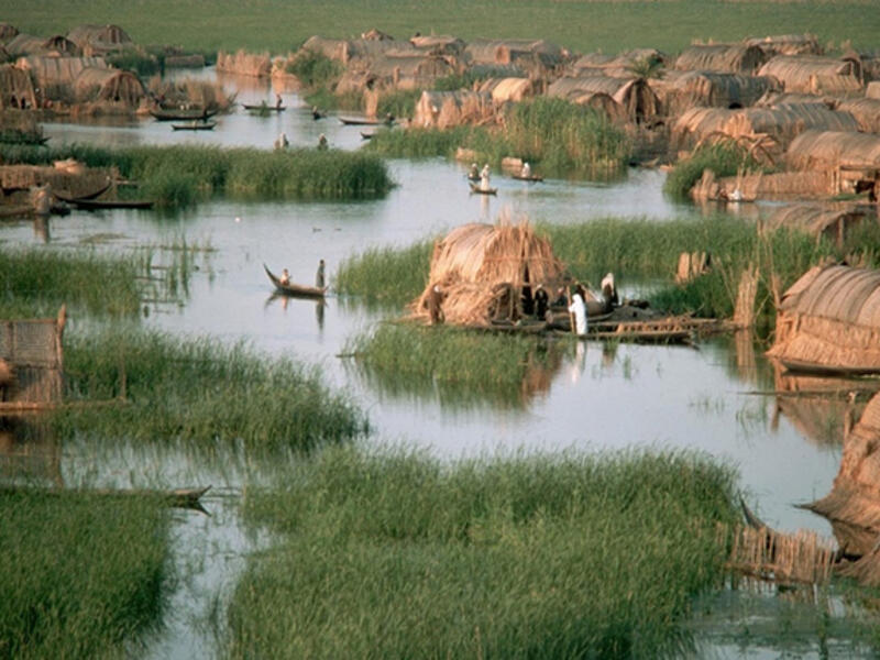 Iraqi southern salt marshes