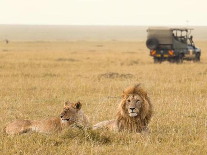 Safari tour through Africa:  The best Safari tour would be in Africa because you will have the opportunity to see wild life. (AFP/ File Photo)