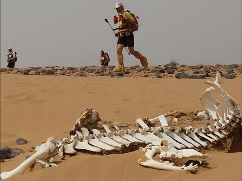 Jordan Sahara Race