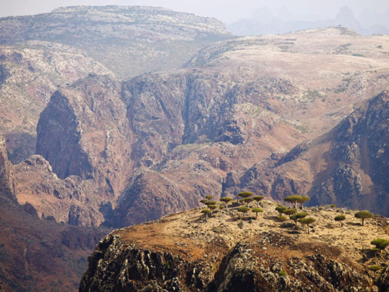 Socotra Island