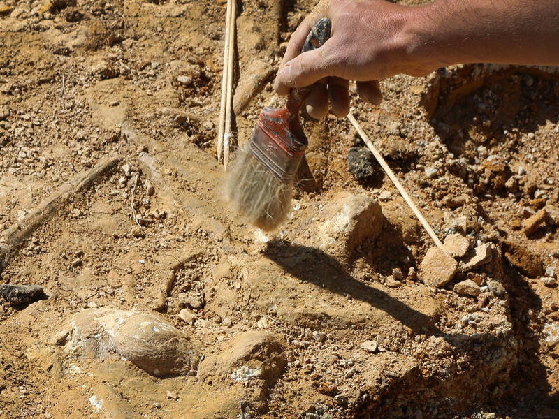 The Stone Age discoveries shed new light onto early life in Jordan. (File)