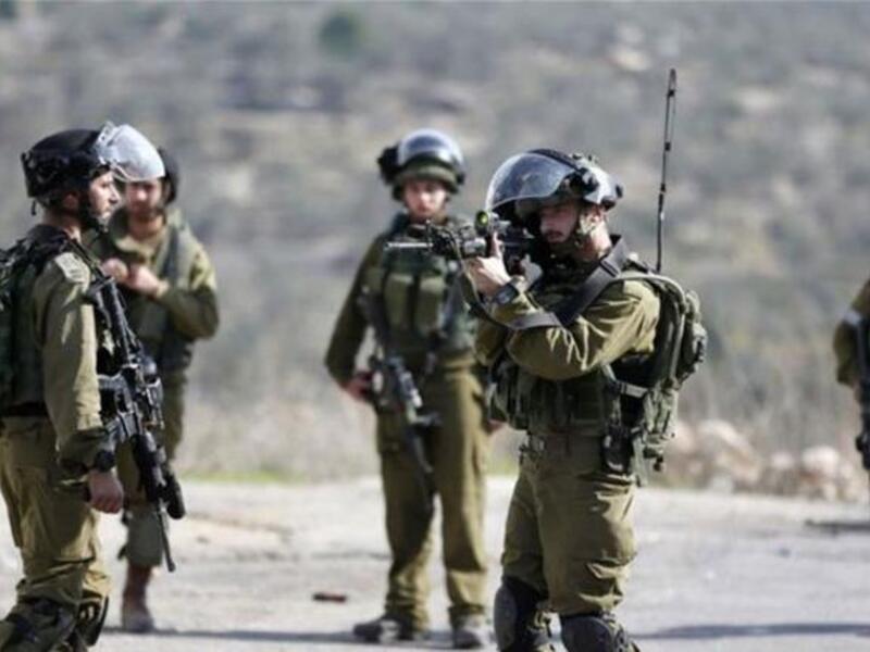 Israeli forces recently kidnapped a woman from the disputed Shebaa Farms and later released her to the Lebanese army. (AFP/ File Photo)