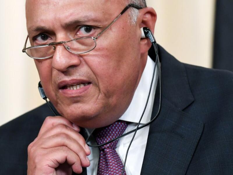 Egypt's Foreign Minister Sameh Shoukry (AFP/File Photo)