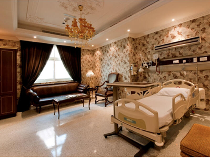 Well-to-do residents from Gulf countries who once traveled to Asia or the U.S. are now getting their Botox injections, liposuction and even dental work done in the United Arab Emirates instead.