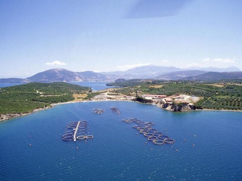Above, a fish farming facility in the Mediterranean Sea. Sovereign investors across the region are increasingly investing in food resources on land and sea as a growing global population needs feeding. (Mubadala)