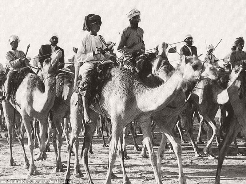 A camel caravan ambles through Dubai, ca. 1960s
