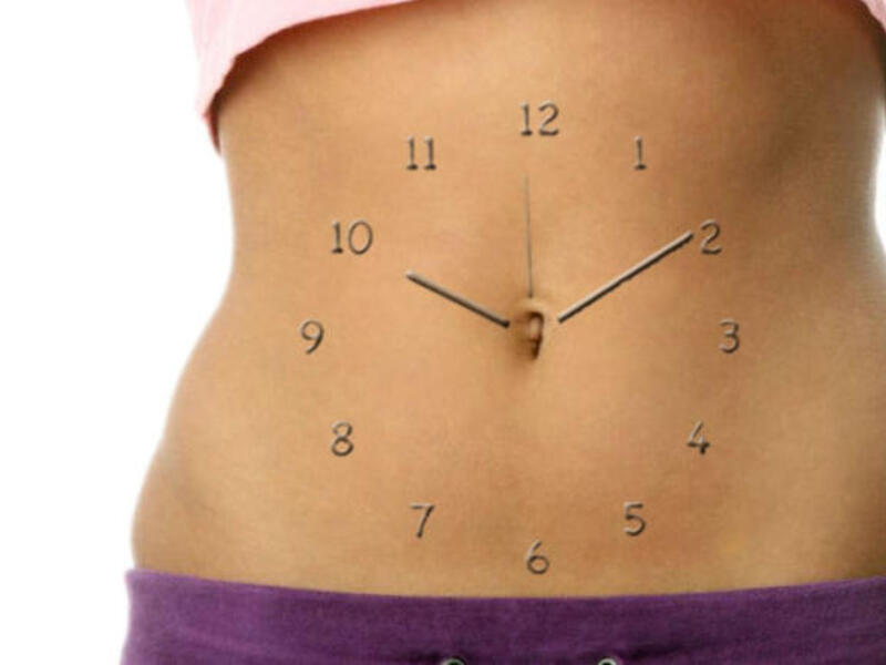 biological clock