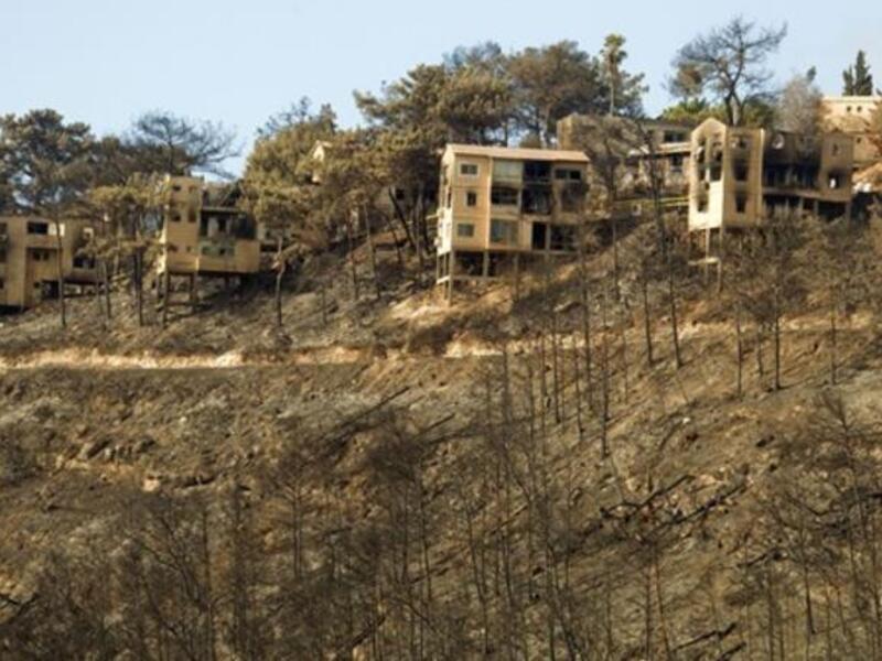 A burnt trees in front of fire-damaged homes are seen in Beit Oren after the forest fire was finally brought under control. Scorched and blackened areas of Israel Mount Carmel forest, razed by the flames of the country worst-ever fire, will take decades to return to their once-lush glory.