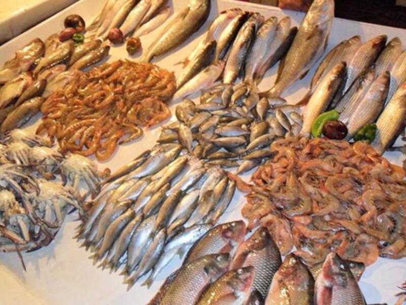 fatwa fish