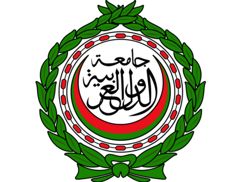هناك مخاوف من أن يكون توسيع المجلس على حساب موت جامعة الدول العربية.