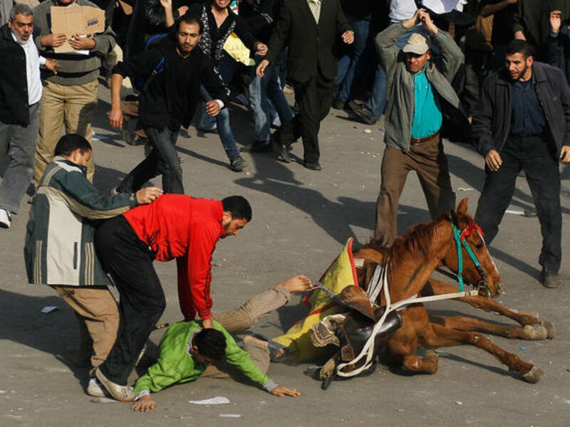 A supporter of embattled Egyptian president Hosni Mubarek is thrown from a horse.