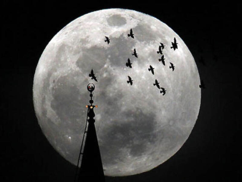 A supermoon appears behind the Minaret of Mohamed Ali Mosque in Islamic Cairo, Egypt.