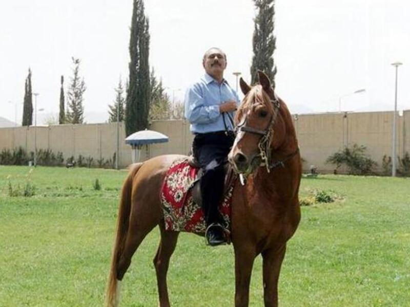 He practices elite activity as horse racing (the pedigree horses come from Arabia after all) and he tries to keep involved in extravagant football hosting activity to keep up with his Gulf neighbours rich in resources. Holds his head up high.