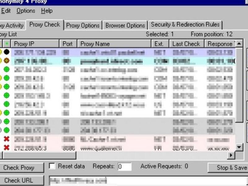 Screenshot from a proxy site 