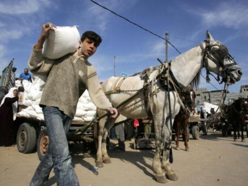 Palestinians receive food aid from the United Nations Relief Works Agency (UNRWA) in the al-Shati camp, Gaza (Getty)