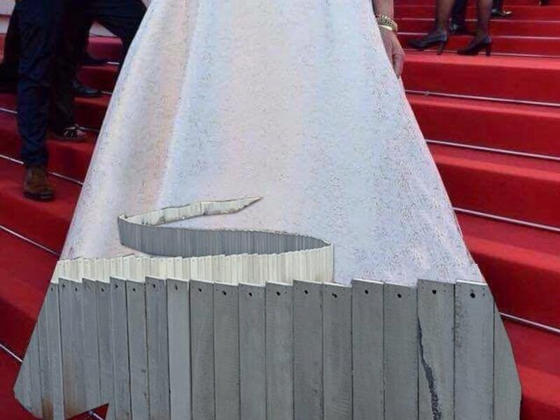 A modified version of Miri Regev's dress made the rounds online (Facebook)