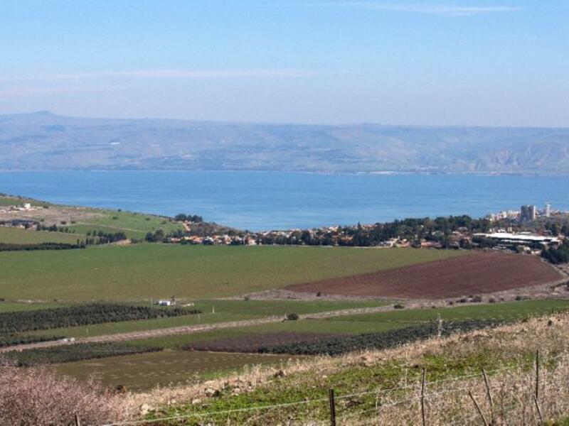 An area of green farmland in the Galilee. (AFP/File)