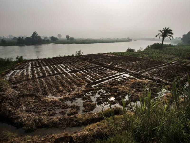 Sudan has banned all agricultural and animal product imports from Egypt amid growing tensions between the two countries. (Gianluigi Guercia/ AFP)