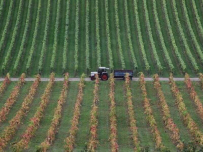 Agriculture investment in the Arab world don’t exceed 8 per cent of the total investment in the region