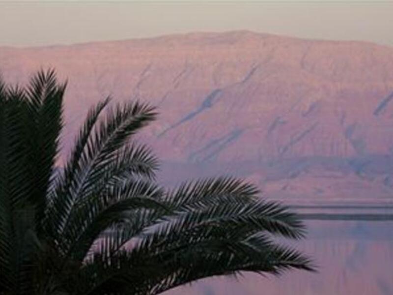 The casino case is related to a deal the first government of former premier Marouf Bakhit signed with an investor in 2007 to build a casino on the shores of the Dead Sea