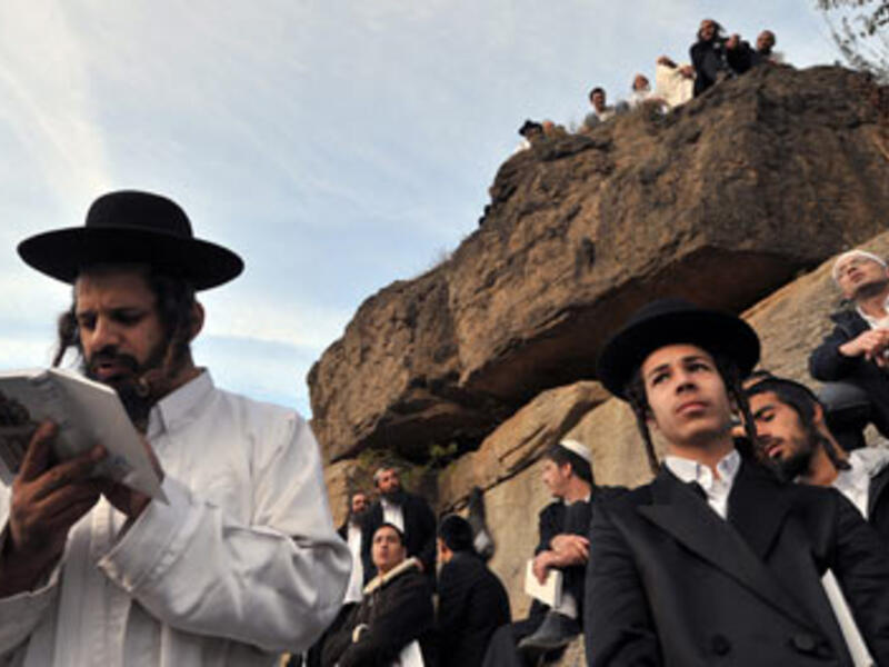 hasidim