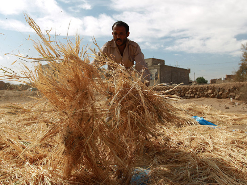 A farmer in Yemen (AFP/FILE)