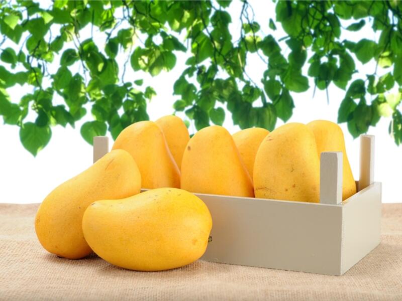 Omanis are incredibly excited about mango season. (Shutterstock)