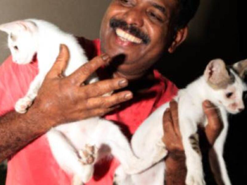 Ebrahim feeds stray cats every day after work. (EXPRESS/AHMED KUTTY)