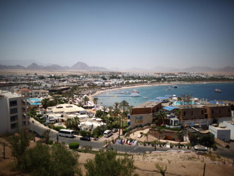 Incidents of sexual assault  have harmed Egypt’s tourism reputation recently, said head of the Egyptian Federation of Chambers of Tourism, Ilhamy Zayat.