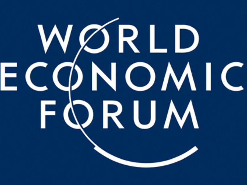 Iran's President Hassan Rouhani plans to partake in the 44th annual meeting of the World Economic Forum (WEF) in the Swiss mountain resort of Davos on global financial crisis.