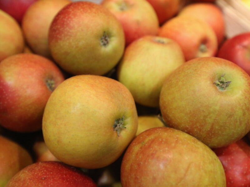 That's A LOT of rotten apples. (Al Bawaba file photo)