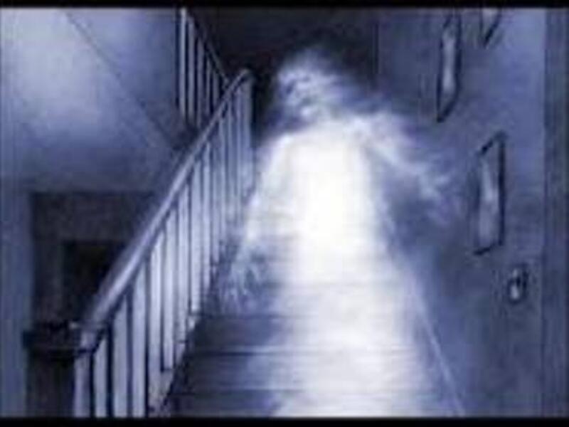 The company was only "ghost-run" by an Emirati, when in fact, an expat did all the work. 