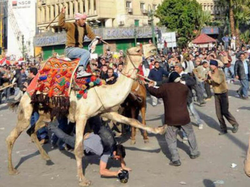 "Camel Battle" during the Egyptian revolution.