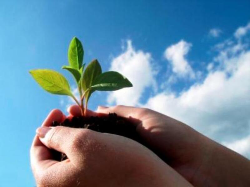 The green future of the UAE is in the future generation's hands.