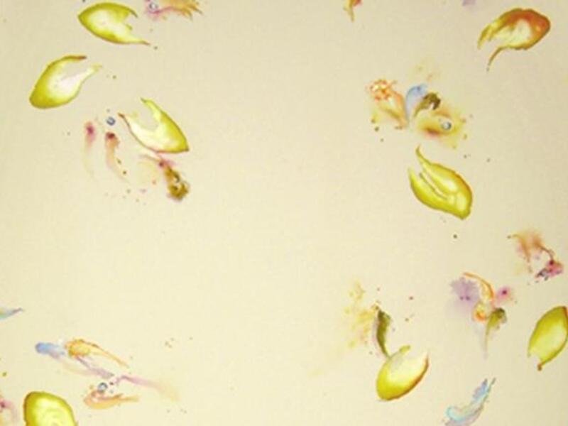Srouji's paintings explore the relationship between light and colors