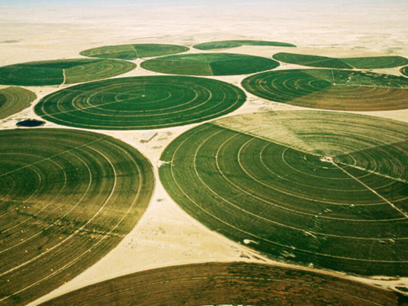 Saudi wheat precision farming