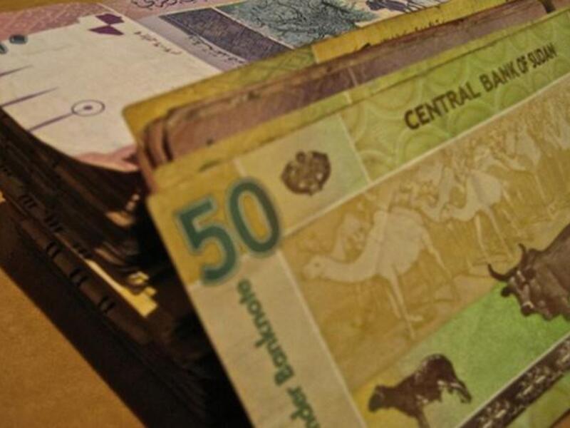 Sudan has enough foreign exchange supplies for five months, contradicting IMF statements
