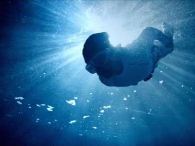 'The Turtle' was named Best HD movie of 2012