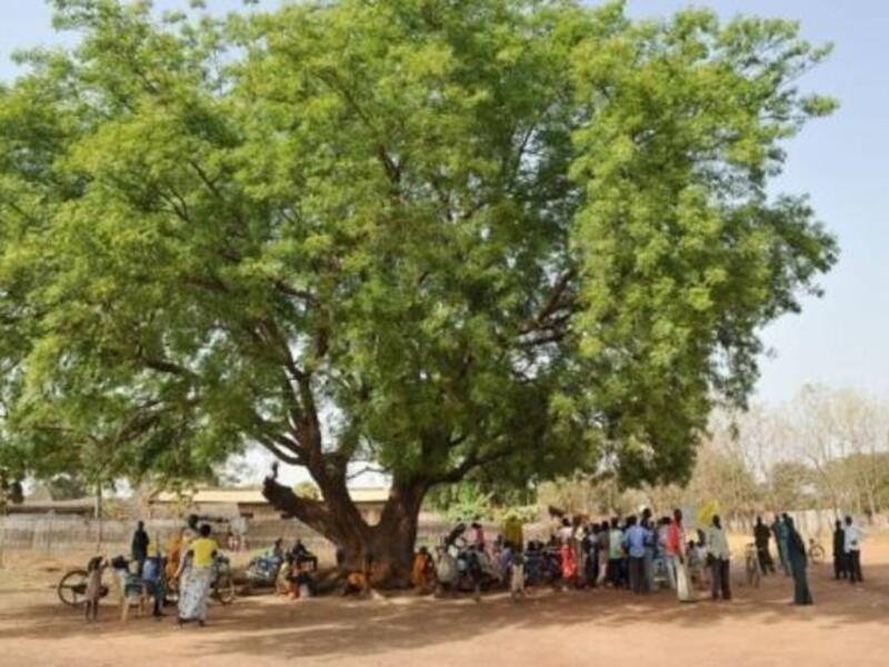 Around 1,500 saplings were planted at the university on Saturday as part of the initiative.