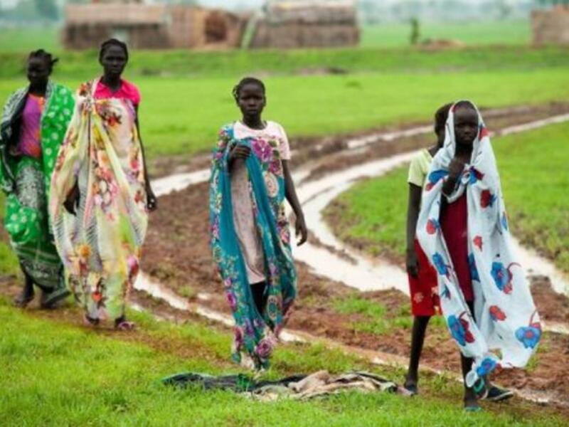 Sudan is seeking to strengthen economic ties with Nigeria, especially in areas such as agriculture