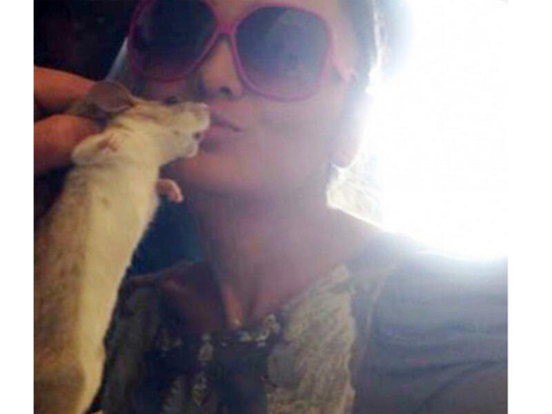 Gimme a kiss: Randa al Buhairi gives a hamster a peck on the cheek! (Image: Al Jaras Magazine)