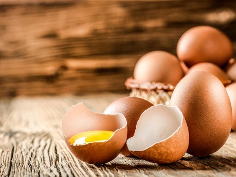 Samples of food products are transferred to labs to ensure they are safe. (Shutterstock)