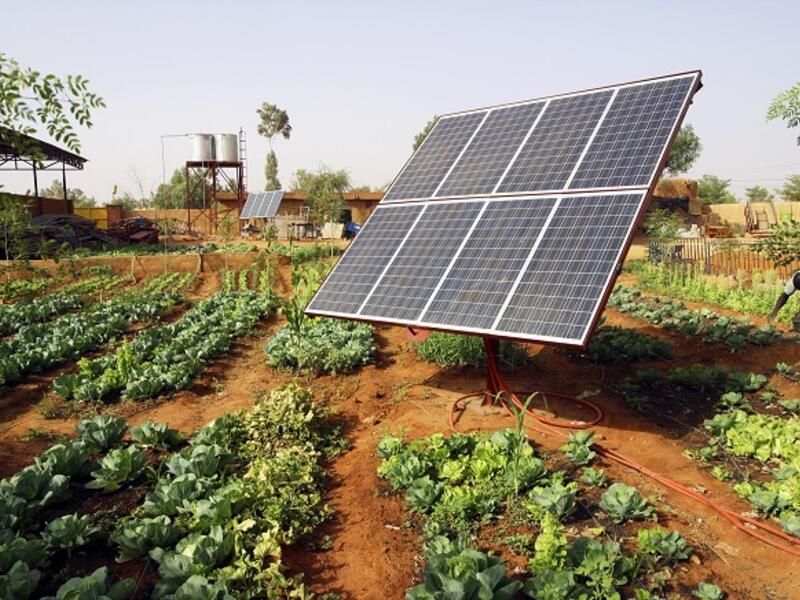 The electricity generated from the renewable sources will reach 1000 megawatts by March 2019. (Shutterstock)