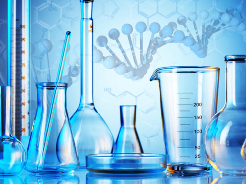 Emirati female science students are making a splash at the ISEF conference! (Shutterstock)