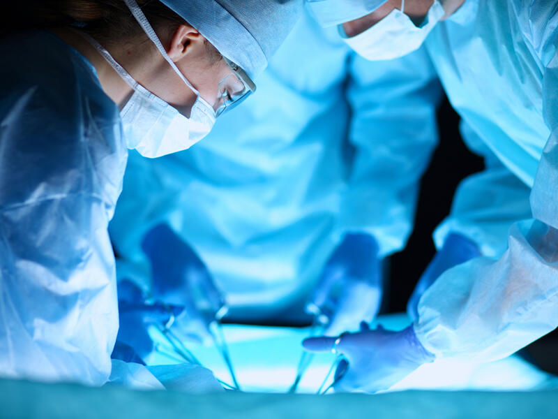 (Shutterstock/ File Photo)