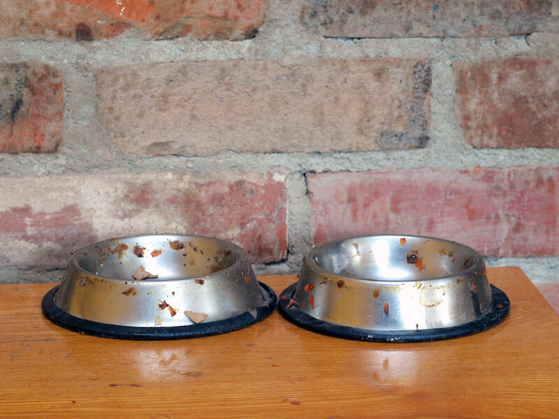 The teenager said she had been facing violence at the hands of her father-in-law who gave her leftover food from his dog’s bowl (Shutterstock/File)