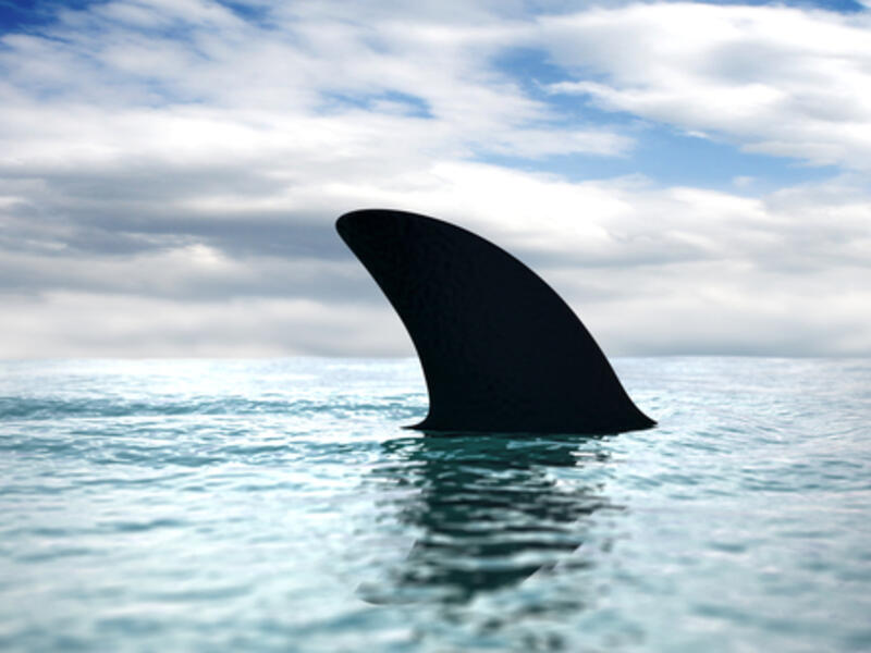 Diving, snorkeling and any beach access were banned for 48 hours. (File/Photo) 